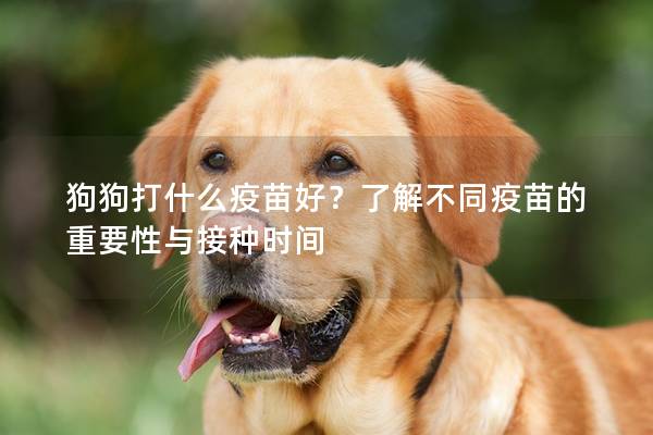 狗狗打什么疫苗好？了解不同疫苗的重要性与接种时间