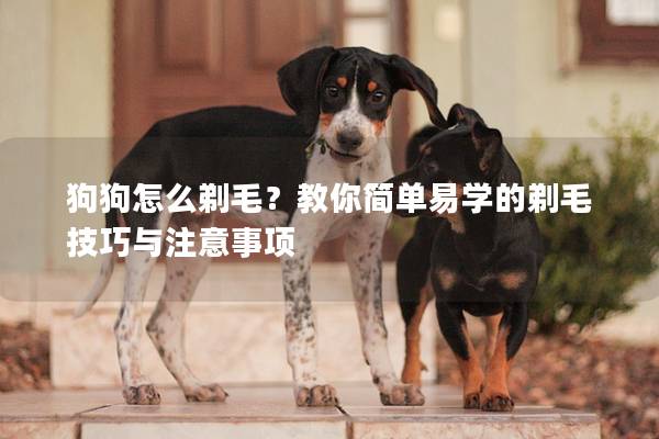 狗狗怎么剃毛？教你简单易学的剃毛技巧与注意事项