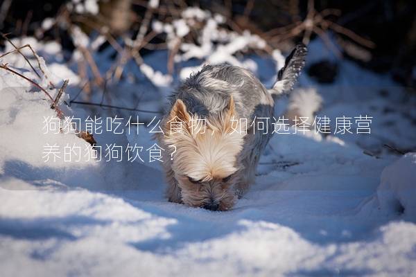 狗狗能吃什么食物，如何选择健康营养的狗狗饮食？