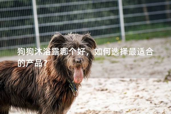 狗狗沐浴露哪个好，如何选择最适合的产品？
