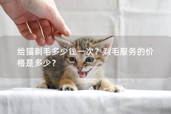 给猫剃毛多少钱一次？剃毛服务的价格是多少？