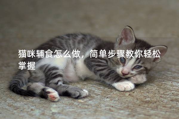 猫咪辅食怎么做，简单步骤教你轻松掌握