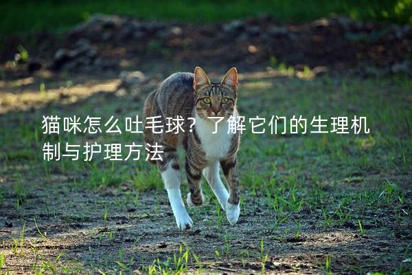 猫咪怎么吐毛球？了解它们的生理机制与护理方法