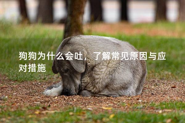 狗狗为什么会吐，了解常见原因与应对措施
