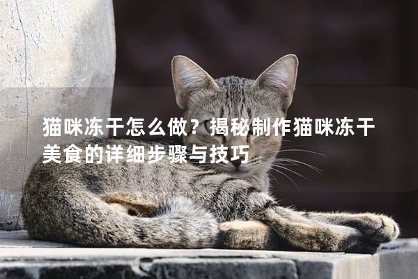 猫咪冻干怎么做？揭秘制作猫咪冻干美食的详细步骤与技巧