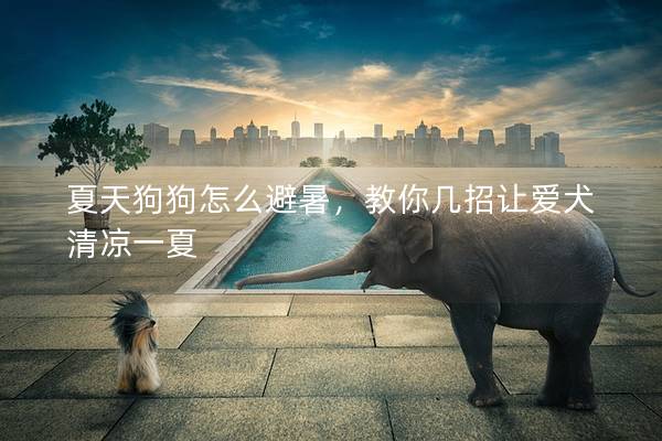 夏天狗狗怎么避暑，教你几招让爱犬清凉一夏