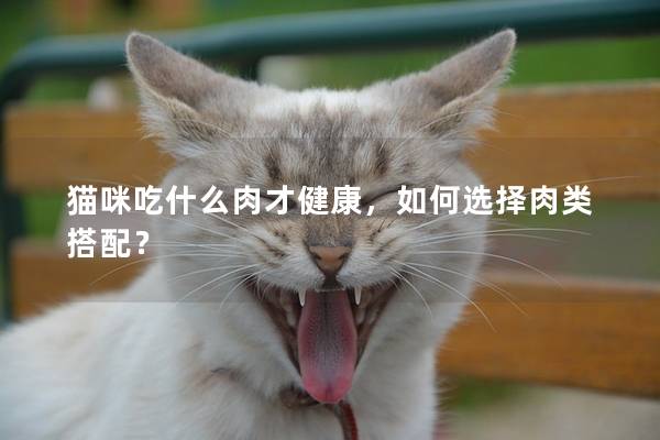 猫咪吃什么肉才健康，如何选择肉类搭配？