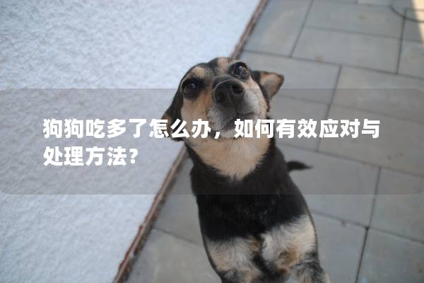 狗狗吃多了怎么办，如何有效应对与处理方法？
