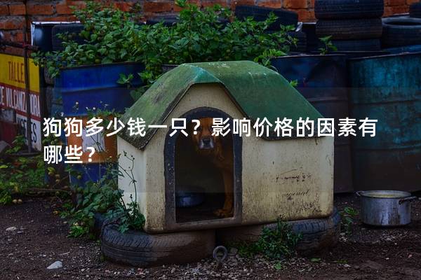 狗狗多少钱一只？影响价格的因素有哪些？