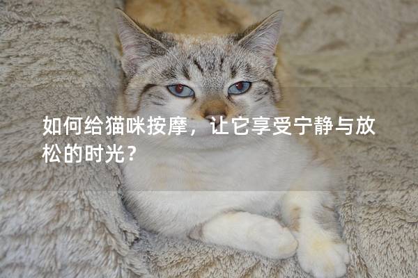 如何给猫咪按摩，让它享受宁静与放松的时光？