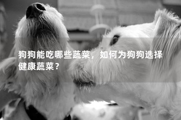 狗狗能吃哪些蔬菜，如何为狗狗选择健康蔬菜？