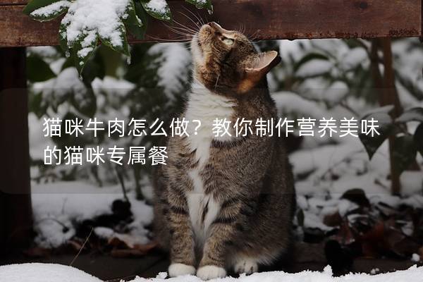 猫咪牛肉怎么做？教你制作营养美味的猫咪专属餐