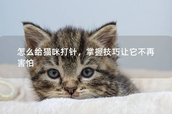 怎么给猫咪打针，掌握技巧让它不再害怕