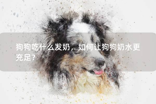 狗狗吃什么发奶，如何让狗狗奶水更充足？