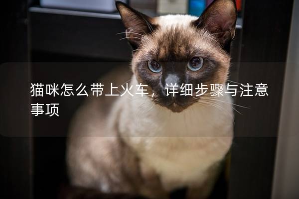 猫咪怎么带上火车，详细步骤与注意事项