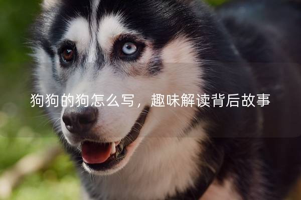 狗狗的狗怎么写，趣味解读背后故事