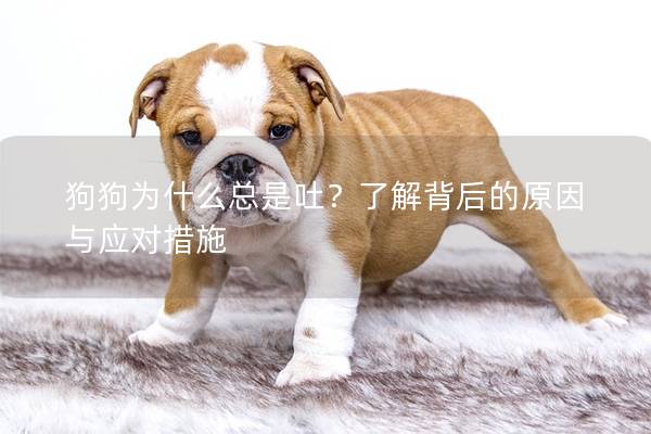 狗狗为什么总是吐？了解背后的原因与应对措施