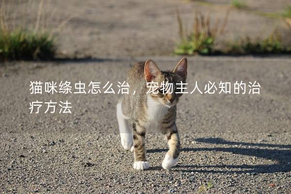 猫咪绦虫怎么治，宠物主人必知的治疗方法