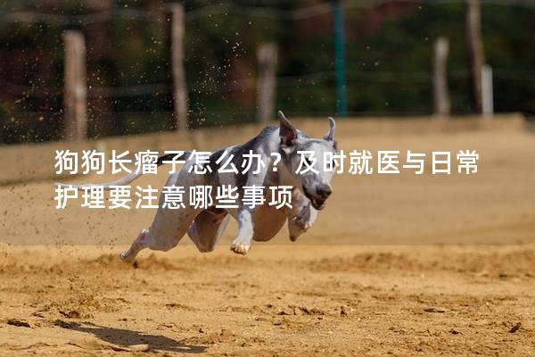 狗狗长瘤子怎么办？及时就医与日常护理要注意哪些事项
