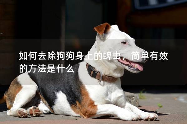 如何去除狗狗身上的蜱虫，简单有效的方法是什么