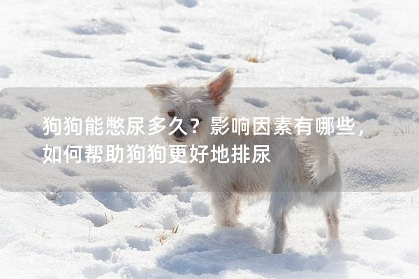 狗狗能憋尿多久？影响因素有哪些，如何帮助狗狗更好地排尿