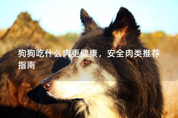 狗狗吃什么肉更健康，安全肉类推荐指南
