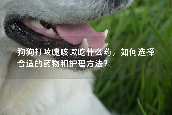 狗狗打喷嚏咳嗽吃什么药，如何选择合适的药物和护理方法？