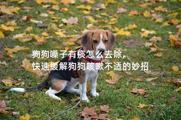 狗狗嗓子有痰怎么去除, 快速缓解狗狗咳嗽不适的妙招