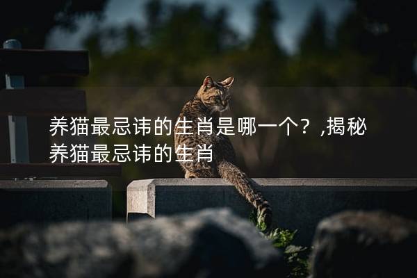 养猫最忌讳的生肖是哪一个？,揭秘养猫最忌讳的生肖