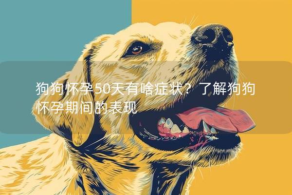 狗狗怀孕50天有啥症状？了解狗狗怀孕期间的表现