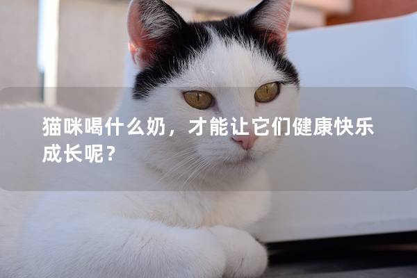 猫咪喝什么奶，才能让它们健康快乐成长呢？