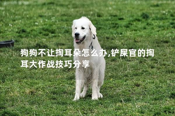狗狗不让掏耳朵怎么办,铲屎官的掏耳大作战技巧分享