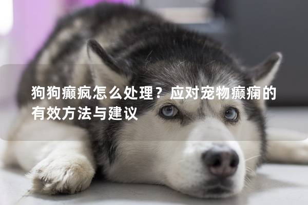 狗狗癫疯怎么处理？应对宠物癫痫的有效方法与建议