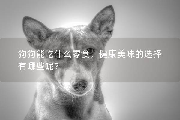 狗狗能吃什么零食，健康美味的选择有哪些呢？