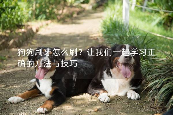 狗狗刷牙怎么刷？让我们一起学习正确的方法与技巧