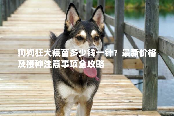 狗狗狂犬疫苗多少钱一针？最新价格及接种注意事项全攻略