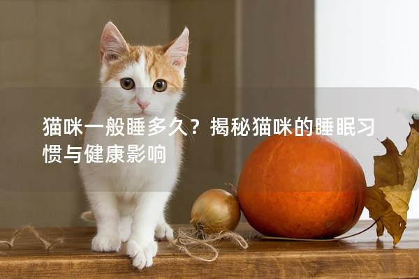 猫咪一般睡多久？揭秘猫咪的睡眠习惯与健康影响
