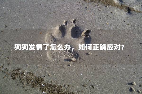 狗狗发情了怎么办，如何正确应对？