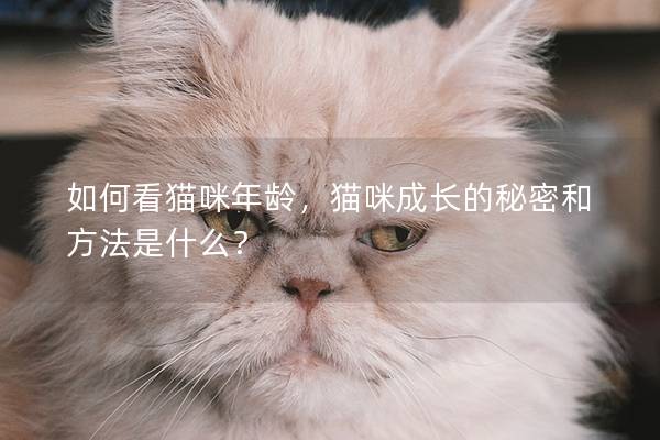 如何看猫咪年龄，猫咪成长的秘密和方法是什么？