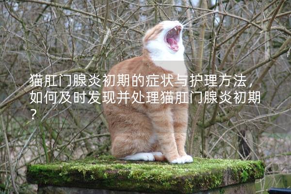 猫肛门腺炎初期的症状与护理方法，如何及时发现并处理猫肛门腺炎初期？