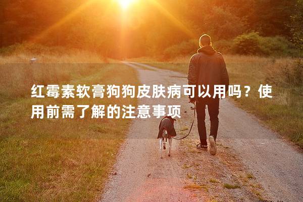 红霉素软膏狗狗皮肤病可以用吗？使用前需了解的注意事项