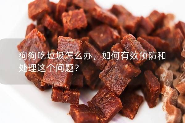 狗狗吃垃圾怎么办，如何有效预防和处理这个问题？