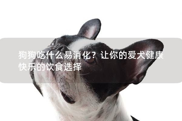 狗狗吃什么易消化？让你的爱犬健康快乐的饮食选择