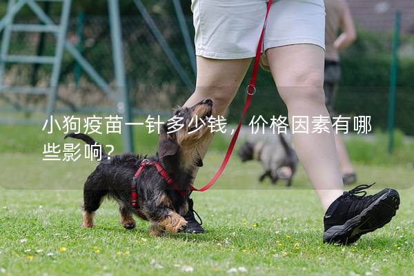 小狗疫苗一针多少钱，价格因素有哪些影响？