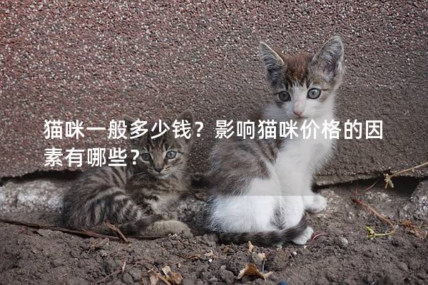 猫咪一般多少钱？影响猫咪价格的因素有哪些？
