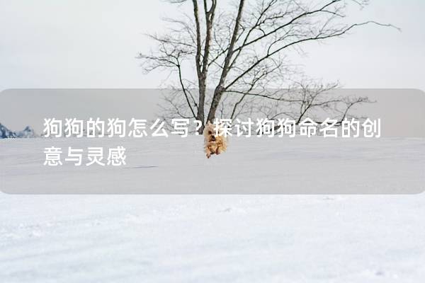 狗狗的狗怎么写？探讨狗狗命名的创意与灵感