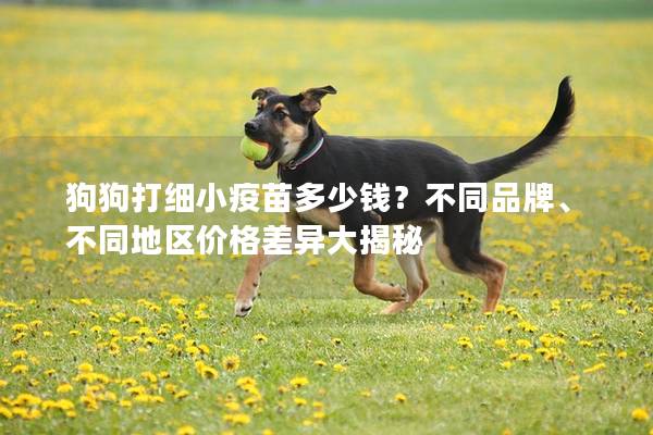 狗狗打细小疫苗多少钱？不同品牌、不同地区价格差异大揭秘