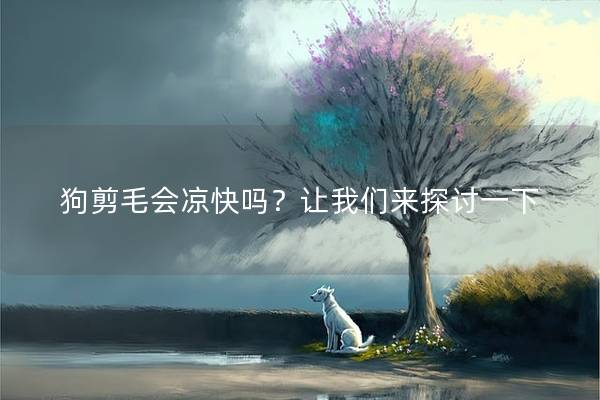 狗剪毛会凉快吗？让我们来探讨一下