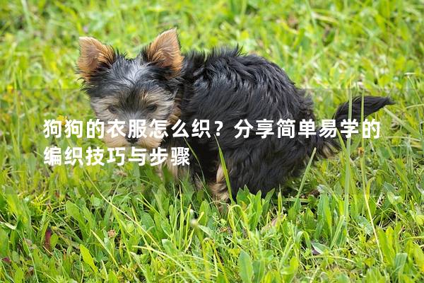 狗狗的衣服怎么织？分享简单易学的编织技巧与步骤
