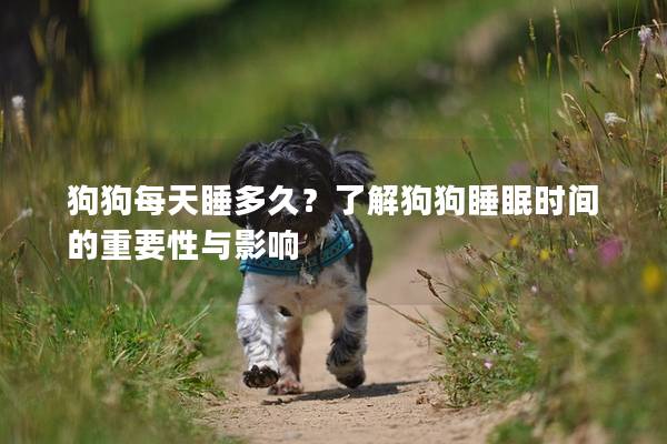 狗狗每天睡多久？了解狗狗睡眠时间的重要性与影响